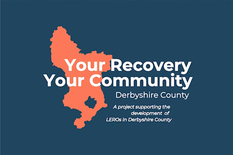 What is a Lived Experience Recovery Organisation?