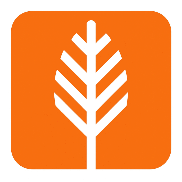 Lived Experience Recovery Organisation Masterclasses on Youtube!