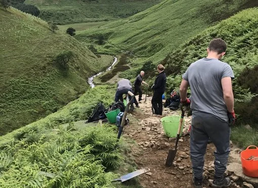 🌿Find out about the Recovery Through Nature🌿 Project